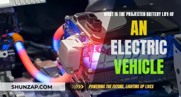 The Future of Electric Vehicles: Long-Lasting Batteries