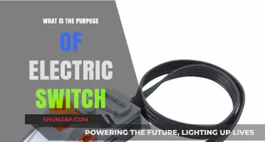 Electric Switches: Power Control and Circuit Safety