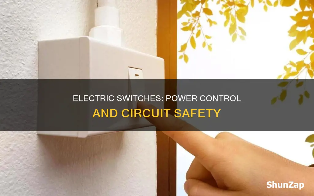 what is the purpose of electric switch