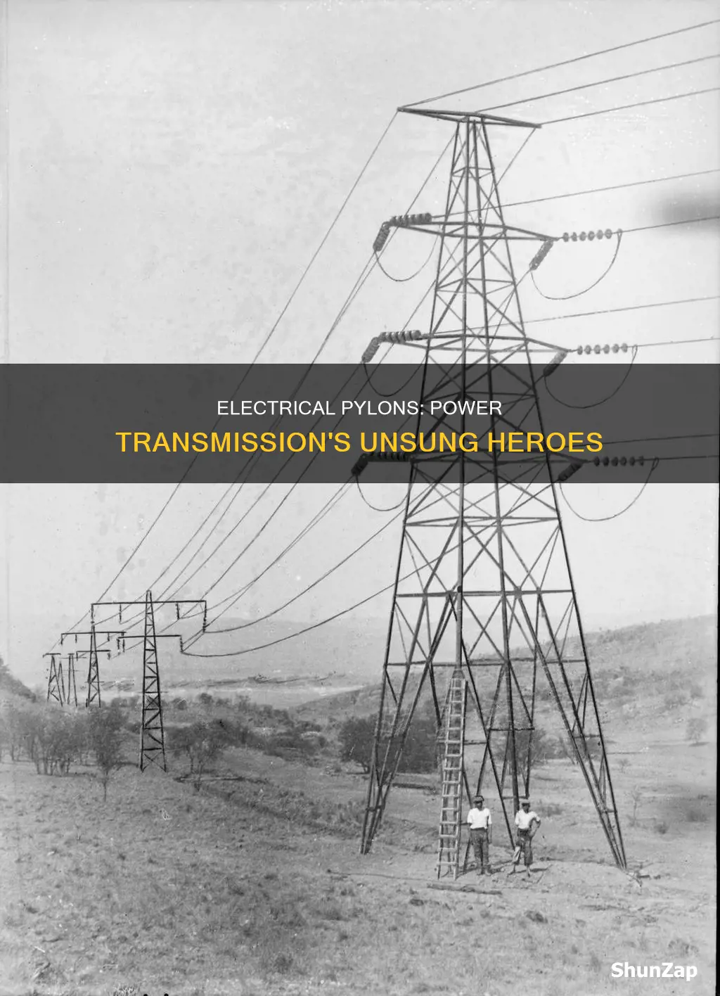 what is the purpose of electrical pylons