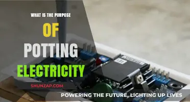 Potting Electrifies: Safety, Durability, and Performance