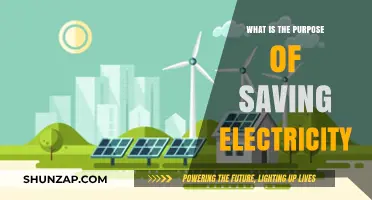 Conserving Energy: A Brighter Future for All