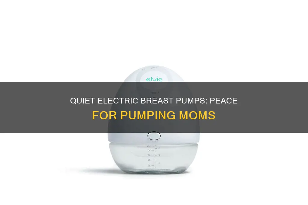 what is the quietest electric breast pump
