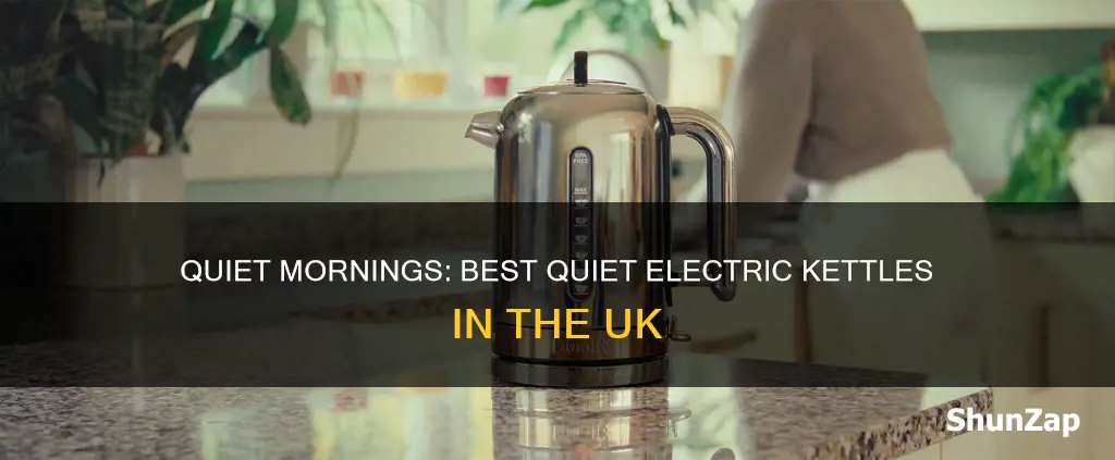 what is the quietest electric kettle uk
