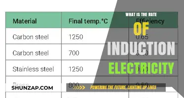 Induction Electricity: Rate and Its Impact