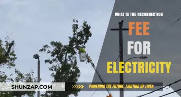 Understanding Electricity Reconnection Fees: Cost of Reconnecting Power