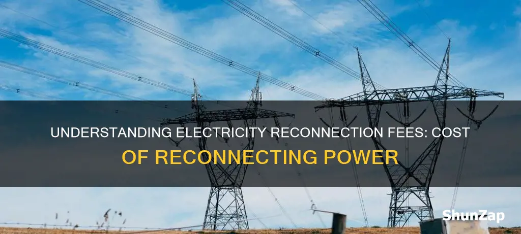 what is the reconnection fee for electricity