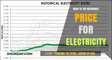 Understanding the Reference Price for Electricity