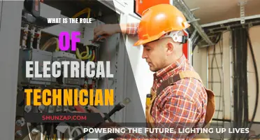 Electrical Technicians: Powering Our World