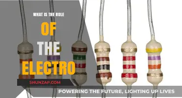 The Electro: Music's Role and Influence