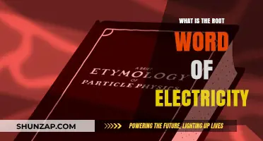 The Spark of Language: Uncovering Electricity's Roots
