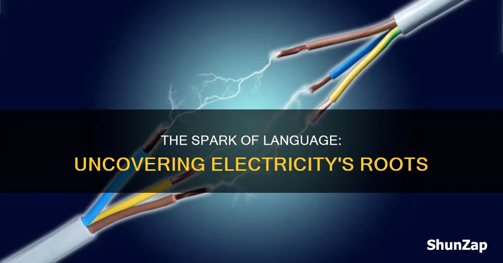 what is the root word of electricity