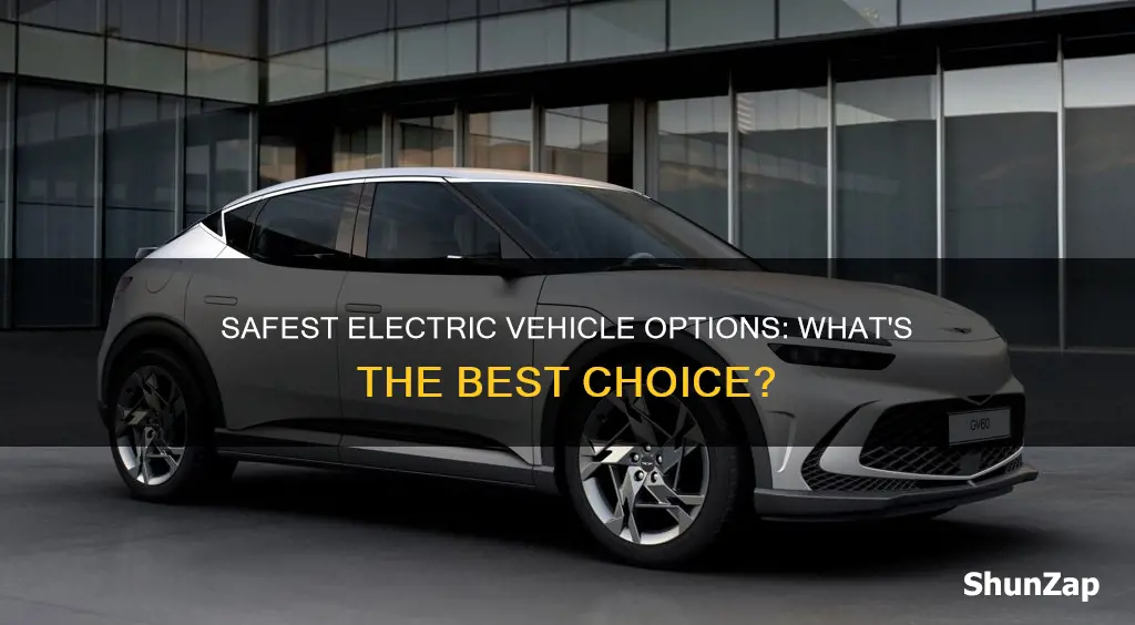what is the safest electric vehicle