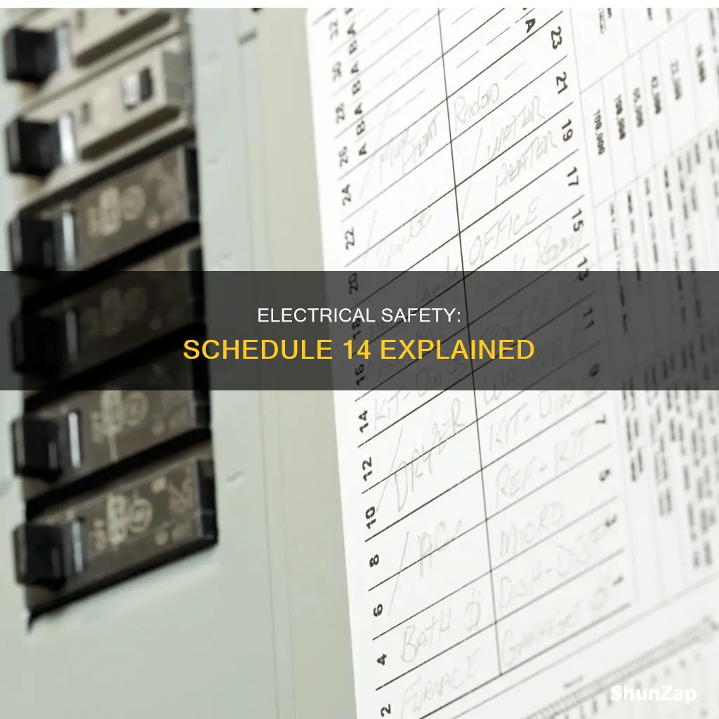what is the schedule 14 on electrica