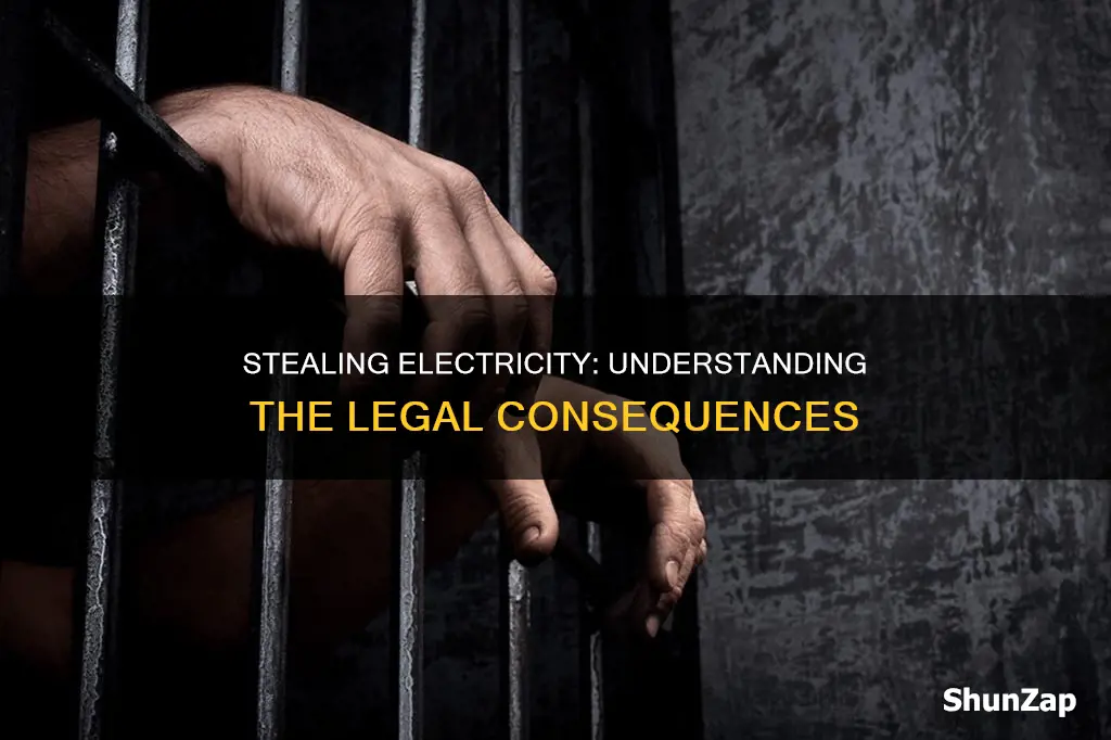 what is the sentence for stealing electricity
