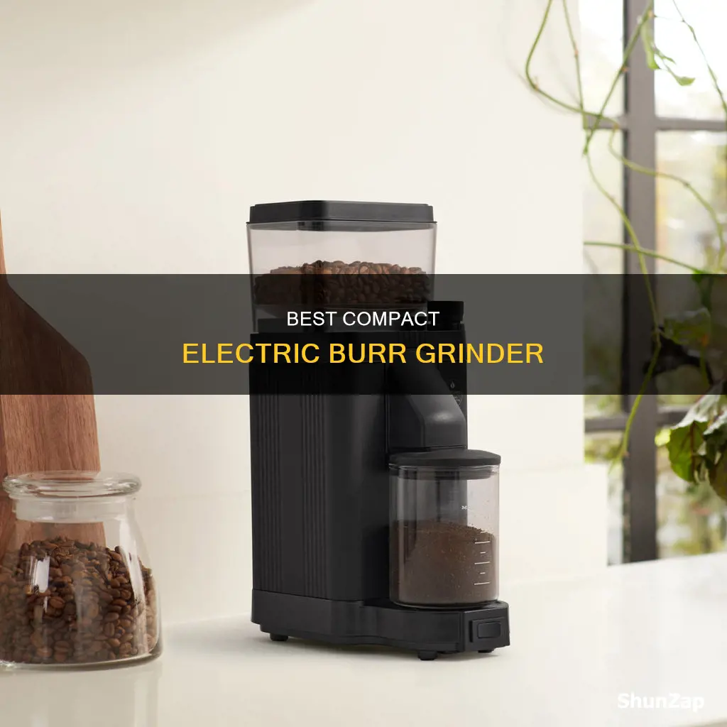 what is the smallest burr electric grinder