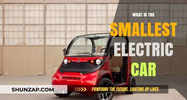 Exploring the Tiniest Electric Car: Compact, Eco-Friendly, and Efficient