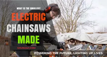 Best Compact Electric Chainsaws for Light-Duty Tasks