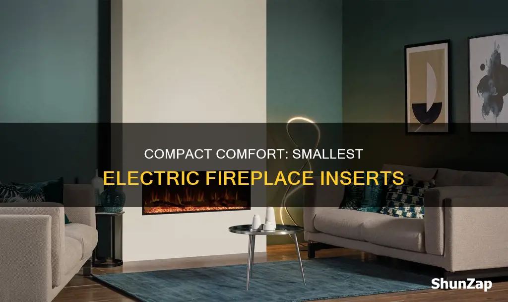 what is the smallest electric fireplace insert