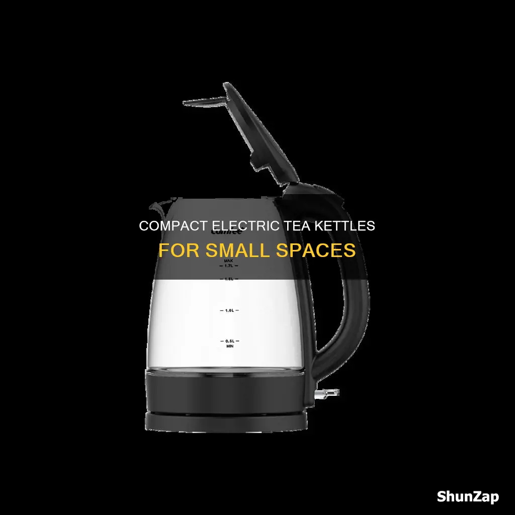 what is the smallest electric tea kettle