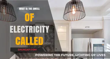 The Aroma of Electricity: What's That Smell?