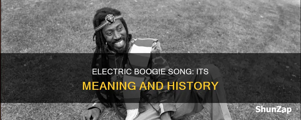 what is the song electric boogie about