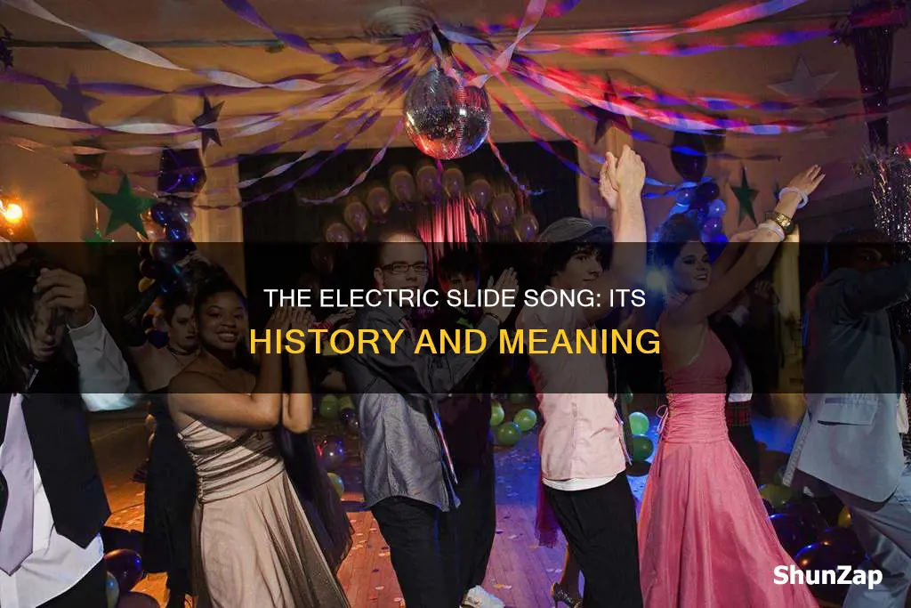 what is the song electric slid about