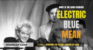 The Meaning Behind Icehouse's Electric Blue