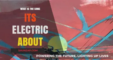 Electric's Meaning: The Song's True Inspiration