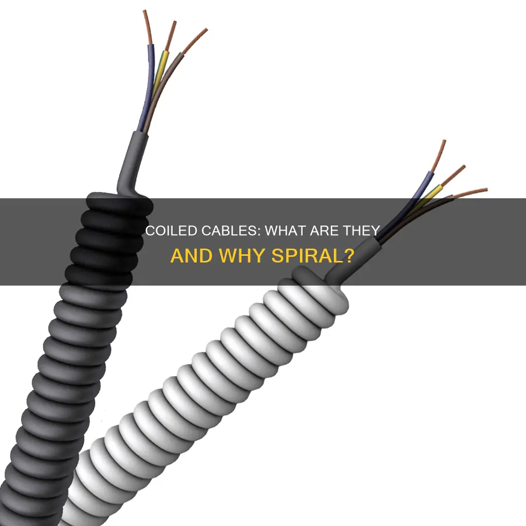 what is the spiral electrical cable called