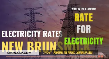 Electricity Pricing: Standard Rates and You