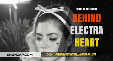 Electra Heart: The Concept Album's Story