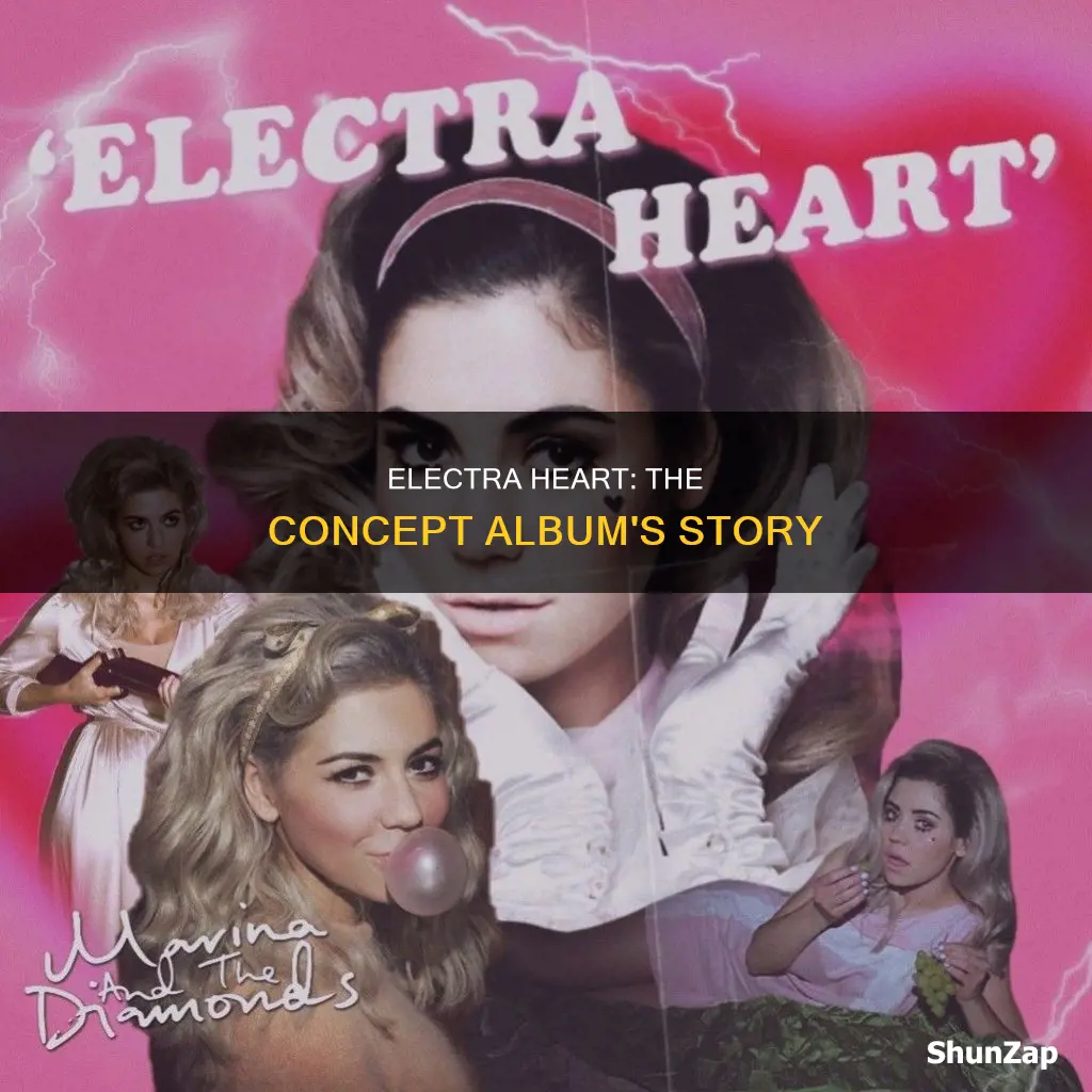 what is the story behind electra heart