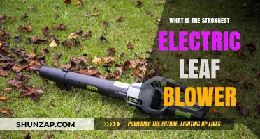 Electric Leaf Blowers: Which One Has the Most Power?