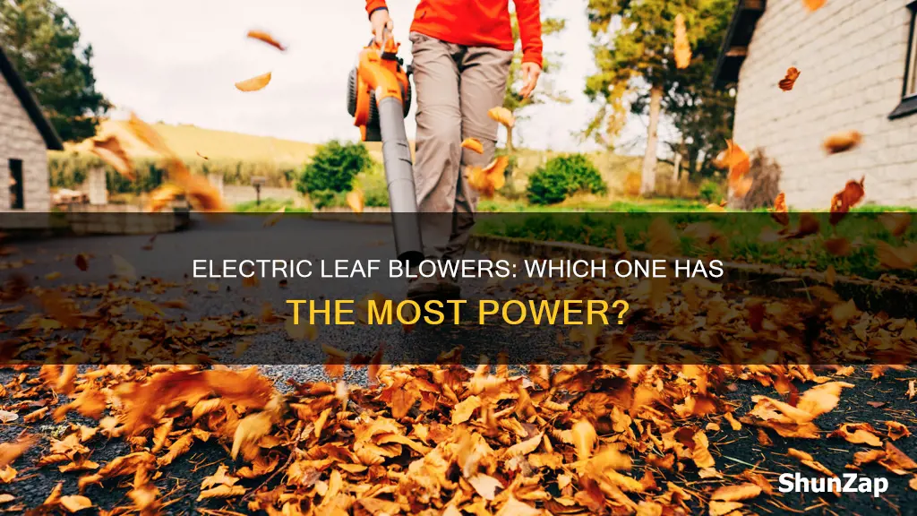 what is the strongest electric leaf blower