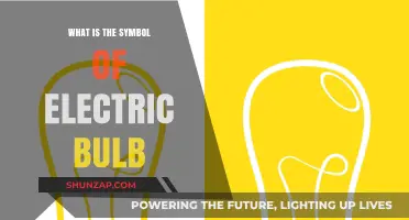 Electric Bulb: A Symbol of Innovation and Illumination