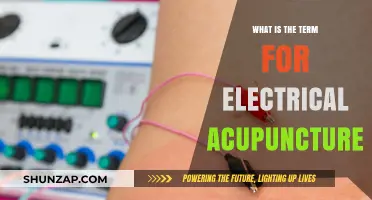 Electrical Acupuncture: What's the Term?