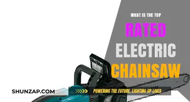Best Electric Chainsaws: Top-Rated Power Tools