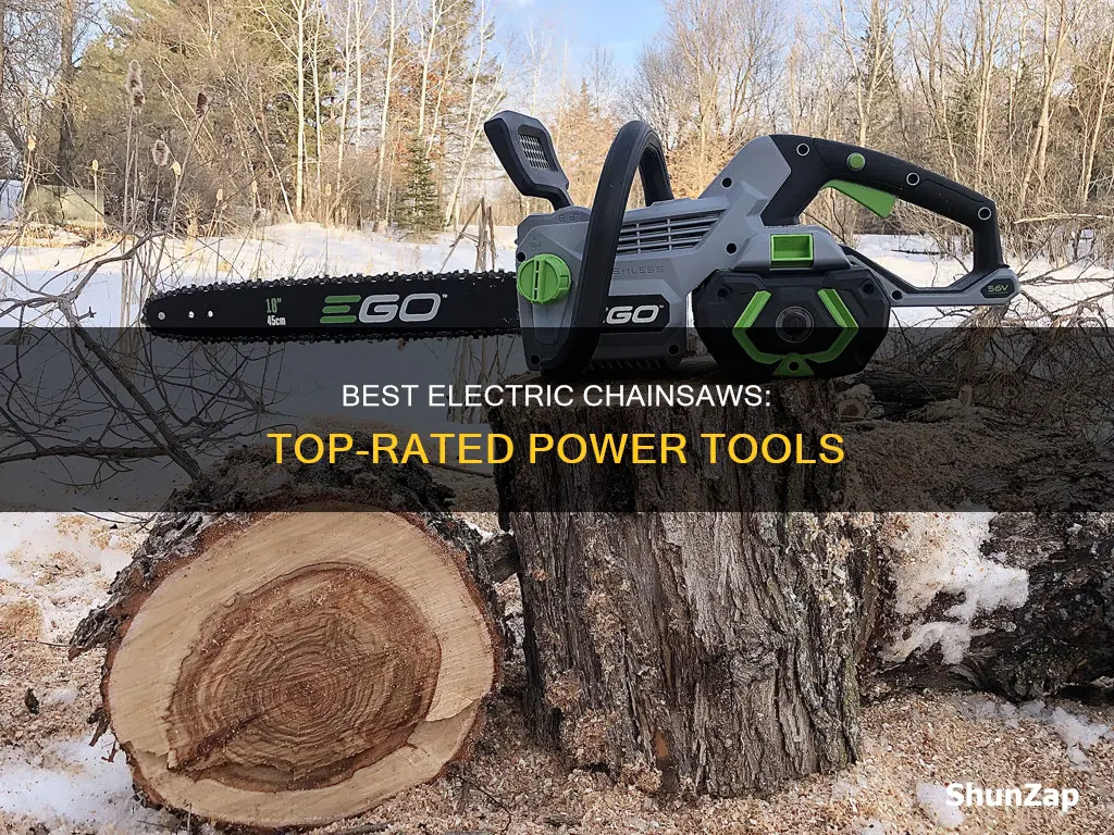 what is the top rated electric chainsaw