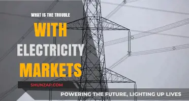 Electricity Markets: Broken System, Big Problems