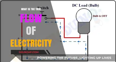 Electricity's Flow: Understanding the True Nature of Current