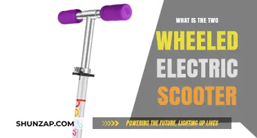 Electric Scooters: Two-Wheeled Revolution