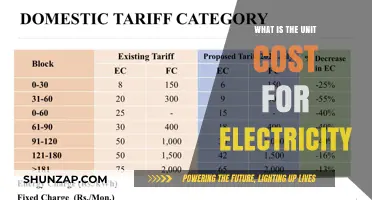 Understanding Electricity Pricing: Unit Costs Explained