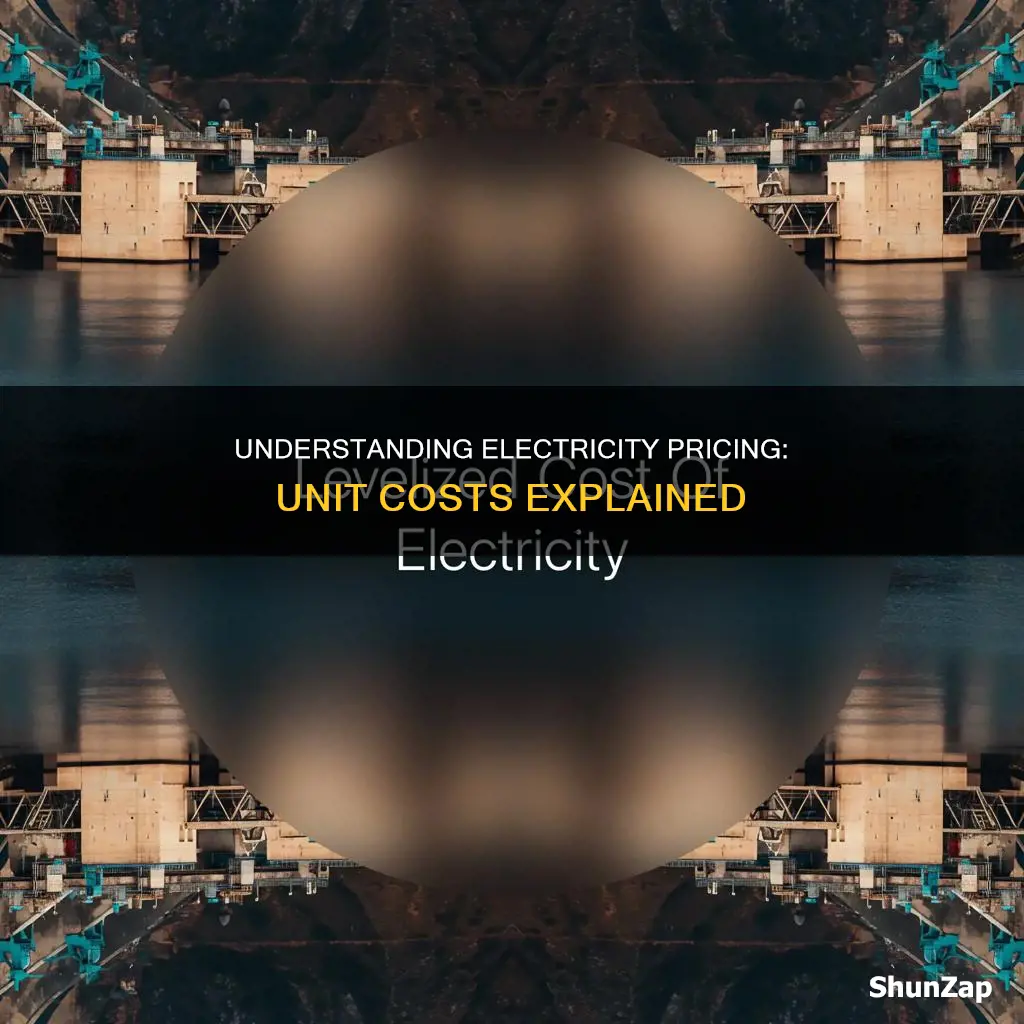what is the unit cost for electricity