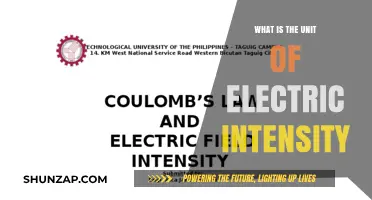 Understanding Electric Intensity: Measuring Unit Definition