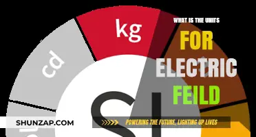 Understanding Electric Fields: Units and Measurements