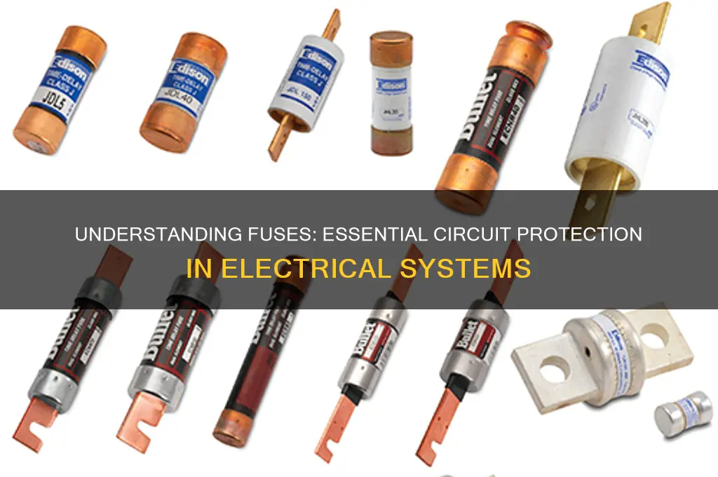 what is the use of fuse in an electric circuit