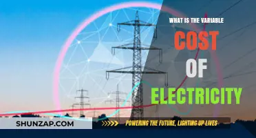 Understanding Variable Electricity Costs: A Dynamic Pricing Scenario