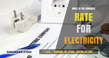 Understanding Variable Electricity Rates: A Dynamic Pricing System