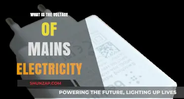 Voltage of Mains Electricity: Understanding the Standard